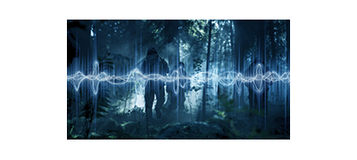 TAC WIN Waveform TAC WIN Waveform